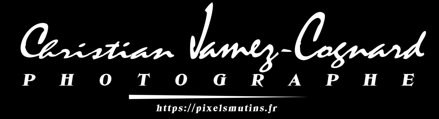 Christian-Cognard-Jamez-Photographe-En-tête-site-février-2026_Long-écrasé
